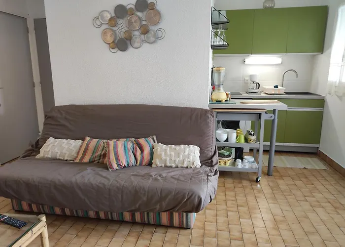 Familial 6 Pers, Piscine, Tennis, Parking Prive, A 500m Des Plages D'argeles. - Fr-1-776-99 *