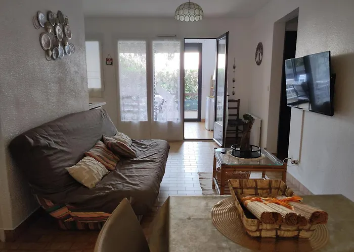 Familial 6 Pers, Piscine, Tennis, Parking Prive, A 500m Des Plages D'argeles. - Fr-1-776-99 滨海阿热莱斯