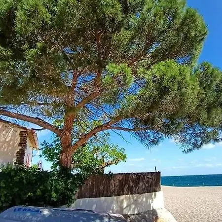 Familial 6 Pers, Piscine, Tennis, Parking Prive, A 500m Des Plages D'argeles. - Fr-1-776-99