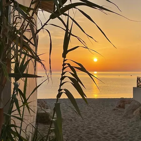 Familial 6 Pers, Piscine, Tennis, Parking Prive, A 500m Des Plages D'argeles. - Fr-1-776-99 Apartment