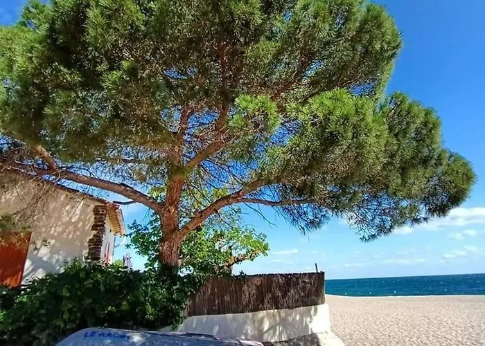 Familial 6 Pers, Piscine, Tennis, Parking Prive, A 500m Des Plages D'argeles. - Fr-1-776-99